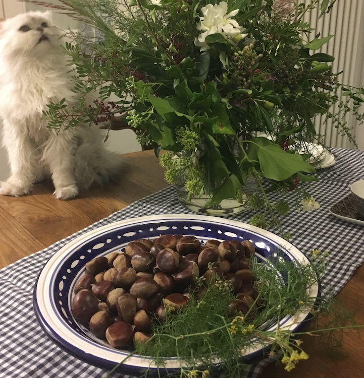 castagne-finocchietto