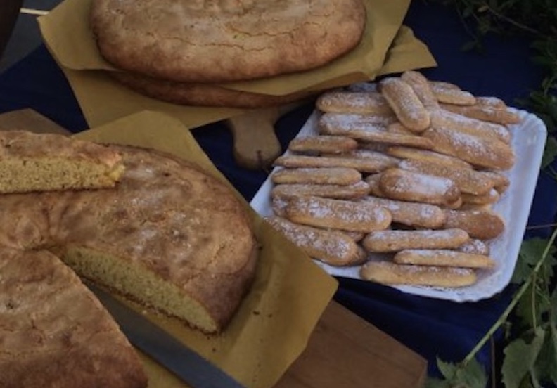 corolli-savioardi-amelia